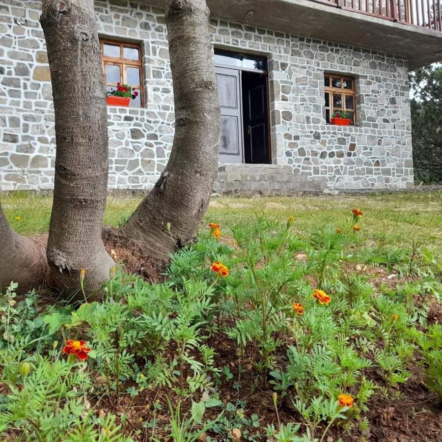 Hotel Grabova Grabove e Siperme Dış mekan fotoğraf