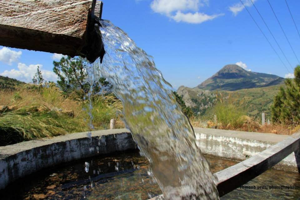 Hotel Grabova Grabove e Siperme Dış mekan fotoğraf